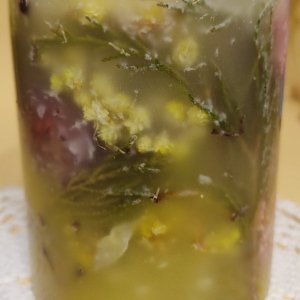 Робота Свічка ботанічна подарункова "Мімоза"