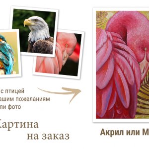Робота Картина з птахом на ваш вибір