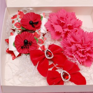 Робота Набір прикрас червоно-кораловий