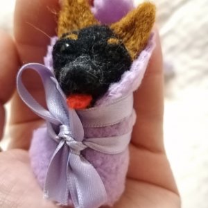 Робота малюк вівчарка