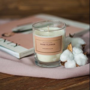 Робота Соєва свічка 245 мл. 