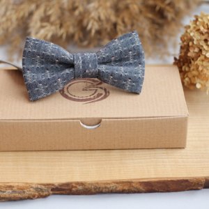 Робота Краватка -метелик сірий