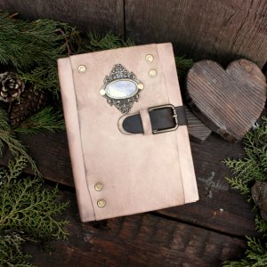 Работа Дневник ведьмы 