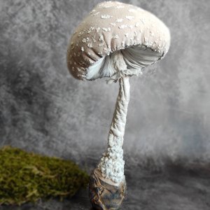 Работа текстильный Мухомор