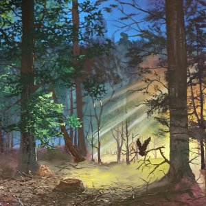 Робота лісовий світанок