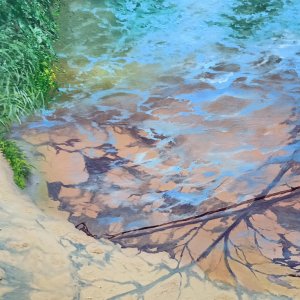 Робота Тінь купається