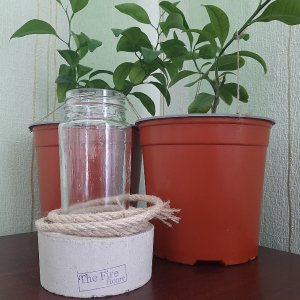 Работа Ваза-кашпо из бетона