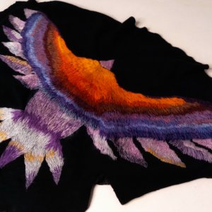 Работа Вяшивка, парящая птица