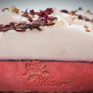 Робота Мило Трояндове