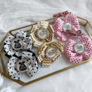 Робота Набір бантики- резинки в садік ,бантики в школу принцеси 2