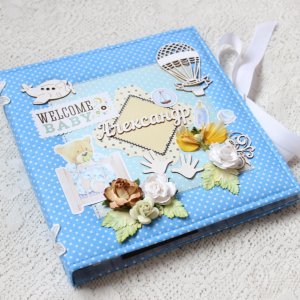 Работа Мамочкин дневник , бебибук для  новорожденного малыша 