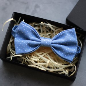 Работа Галстук-бабочка классическая голубая в горошек