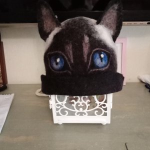 Работа Шапка для сауны Сиамская кошка