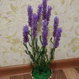 Работа Лаванда