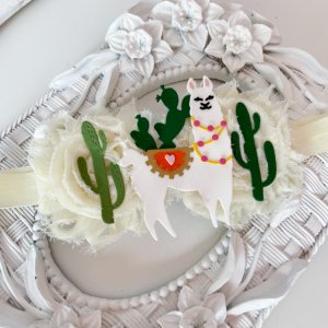 Робота Пов'язка альпака