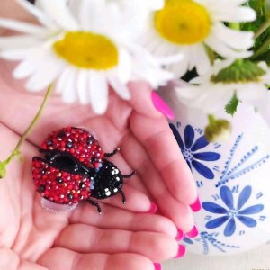 Робота Брошка ′Сонечко′