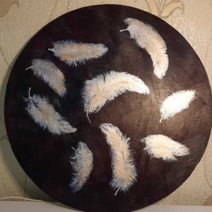 Робота пір'ячко