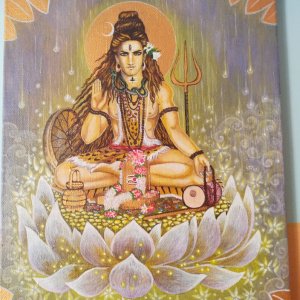 Робота Шива на лотосі