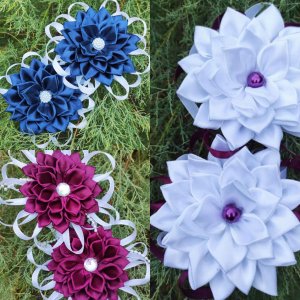 Робота Шкільні айстри