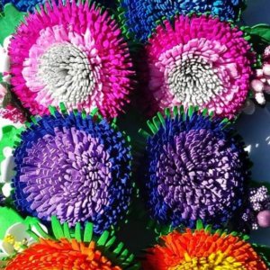 Работа Хризантемы