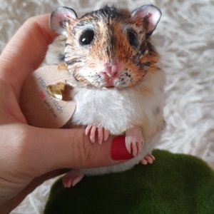 Работа Хомяк авторская игрушка 