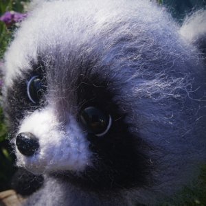 Работа енот Тишина