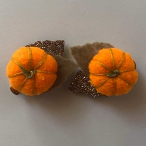 Робота Заколки Гарбузики 