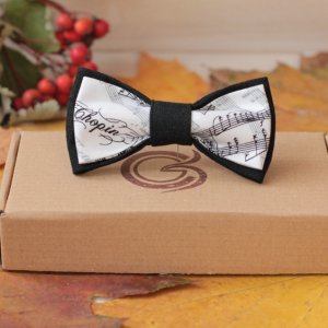 Работа Галстук-бабочка "Ноктюрн Шопена"