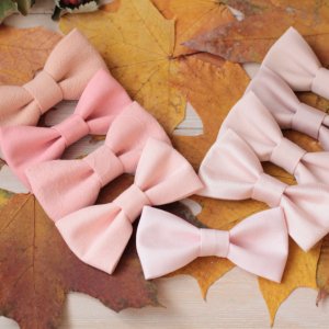 Работа Бабочки пудровые