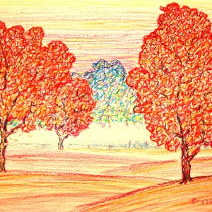 Работа Красные деревья