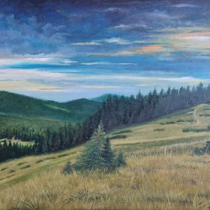 Работа Полонина