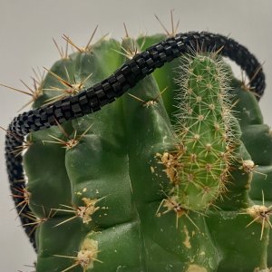 Работа Черный жгут на шею из бисера