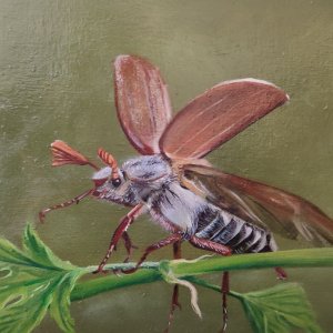 Работа весна