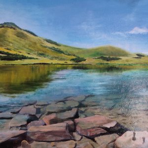 Робота Карпати