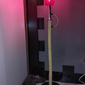 Робота Торшер, світильник, нічник 110 см з регулюванням нахилу