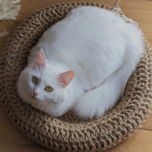 Робота Лежанка для кішки/лежанка для собачки