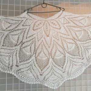 Робота Шаля