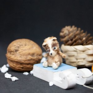 Робота Мікро тедді у горіховій шкаралупці