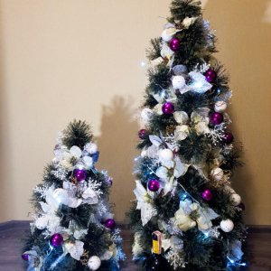 Робота Ялинки -сестрички .