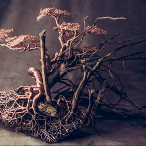 Робота Бонсай ручної роботи