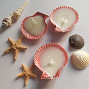 Работа Эко свечи в раковинах