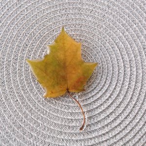 Работа Большая Брошь Кленовый Лист