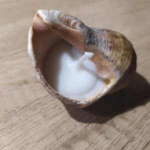 Работа Свеча в раковине