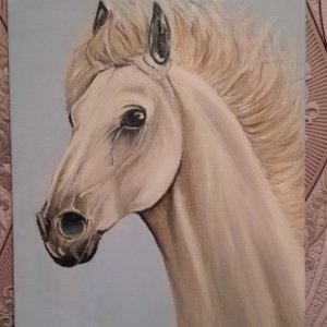 Робота Картина білий кінь