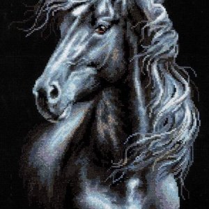 Робота Чорний кінь