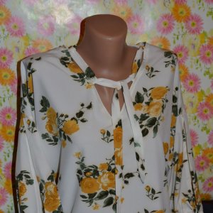 Робота Блуза троянди