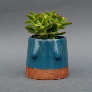 Робота Керамічний бірюзовий вазон для квітів