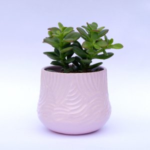 Робота Керамічний рожевий вазон для квітів