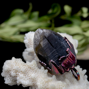 Робота Кулон: "Моріон" 83/09