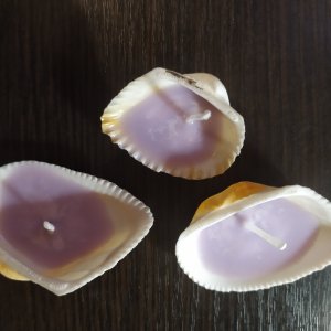 Работа Свечи в раковине, пальмовый+соевый воск